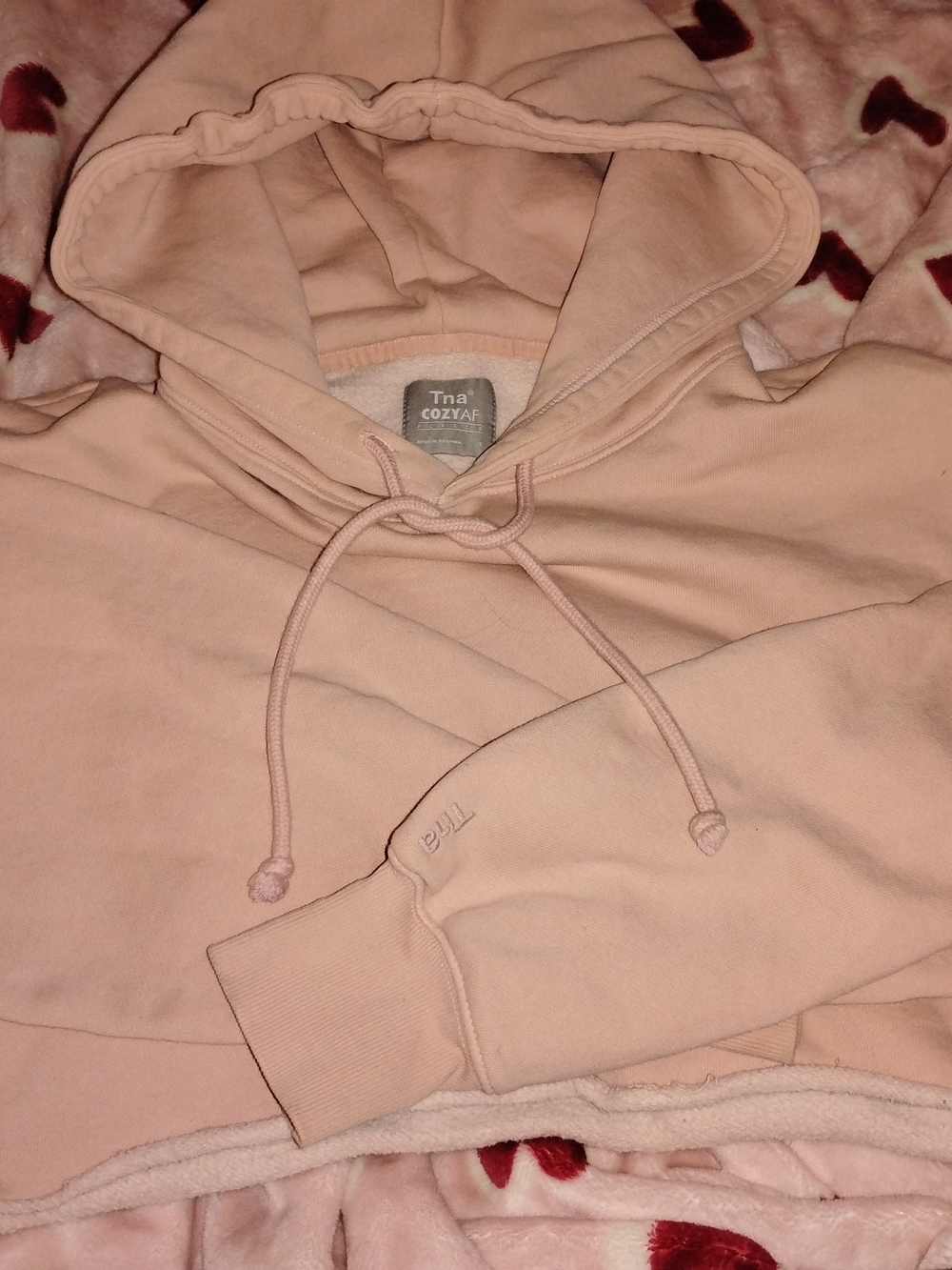 Tna Cozy AF Cropped Hoodie in Blush Pink